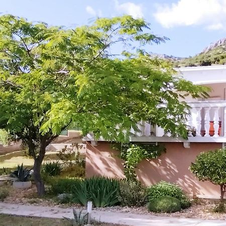 The Garden Of Elais Villa Šibenik Eksteriør billede