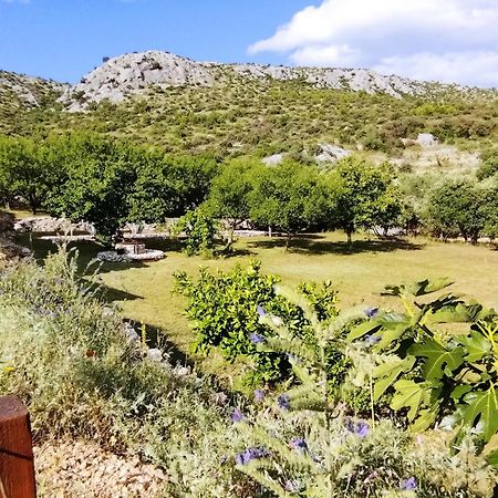 The Garden Of Elais Villa Šibenik Eksteriør billede