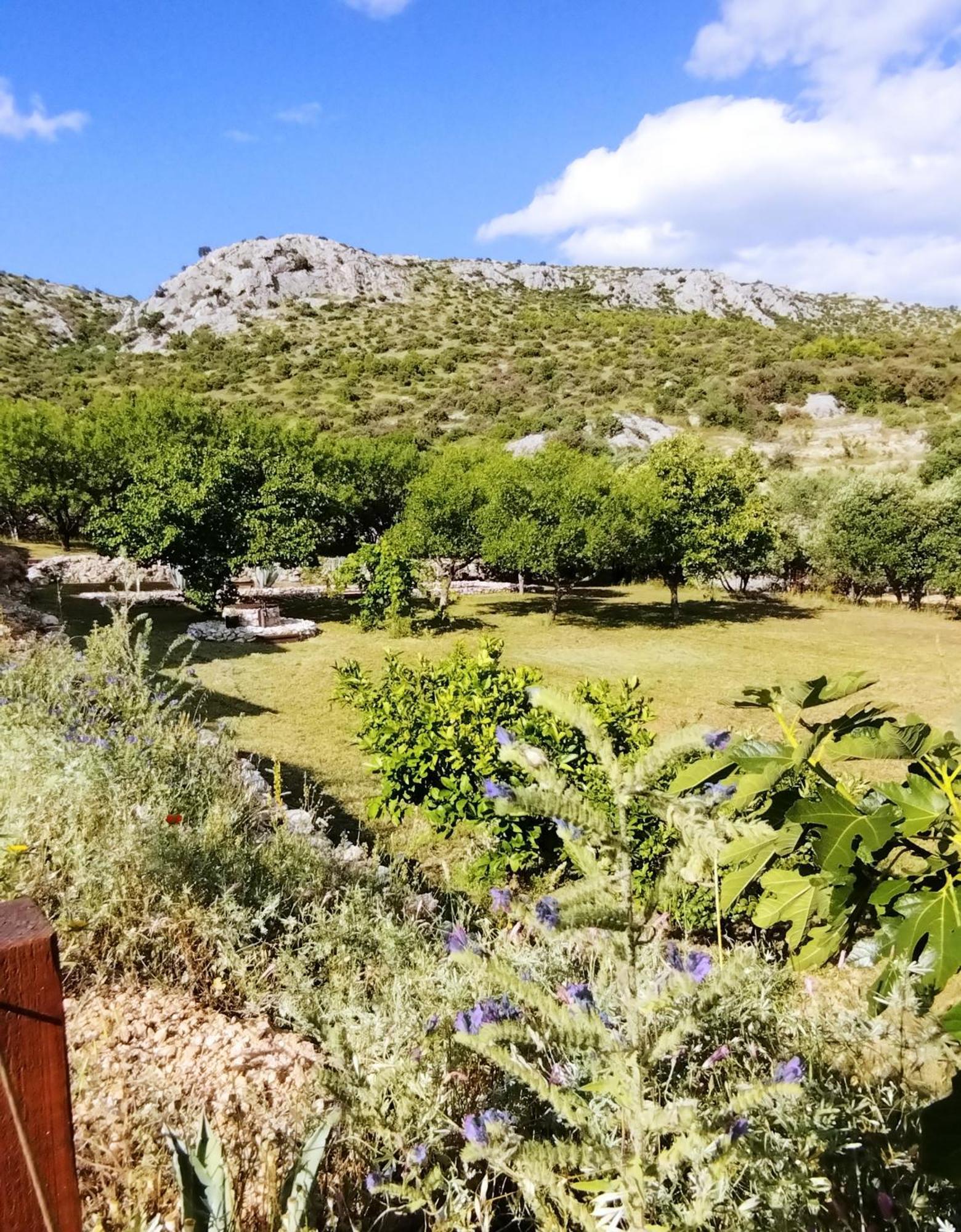 The Garden Of Elais Villa Šibenik Eksteriør billede
