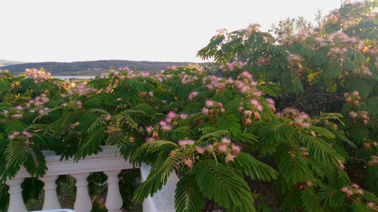 The Garden Of Elais Villa Šibenik Eksteriør billede